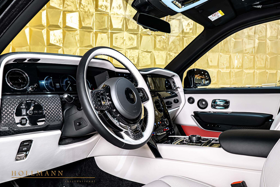 Vehicle view 13