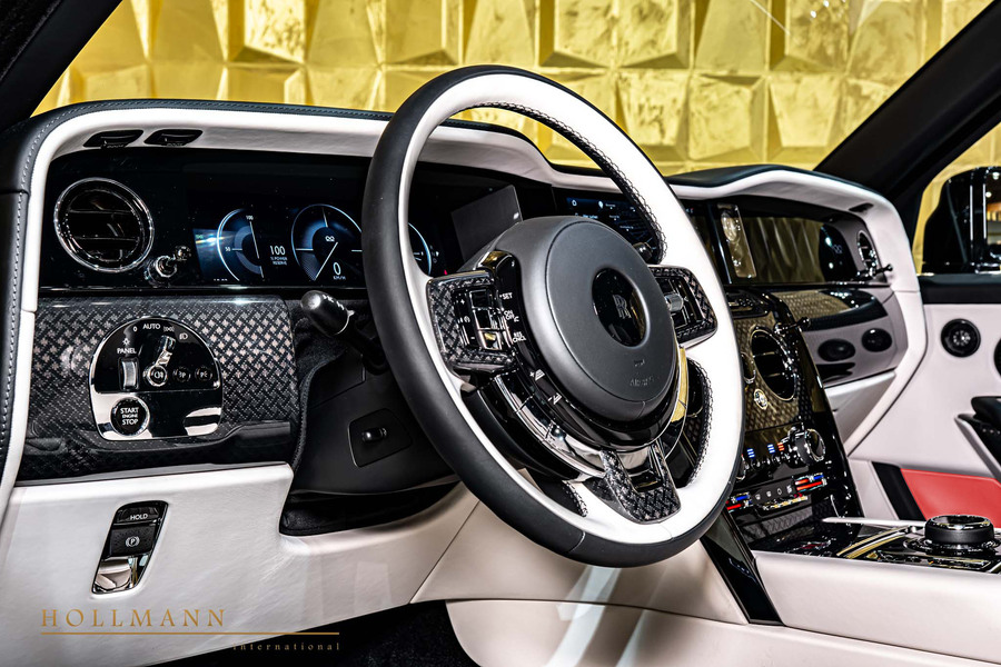 Vehicle view 14