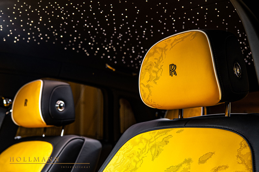Vehicle view 15