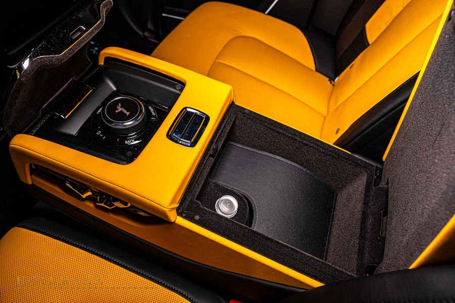 Vehicle view 9