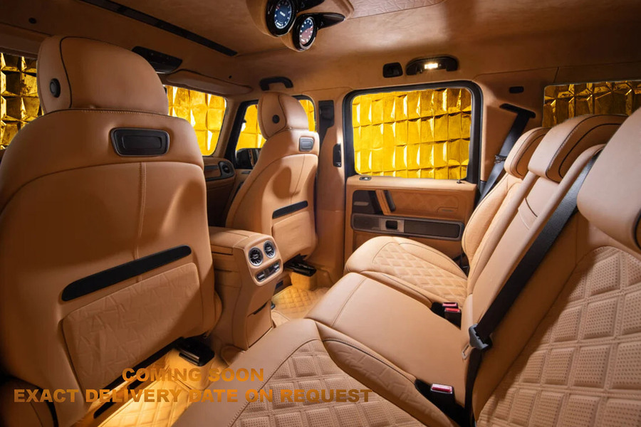 Vehicle view 8