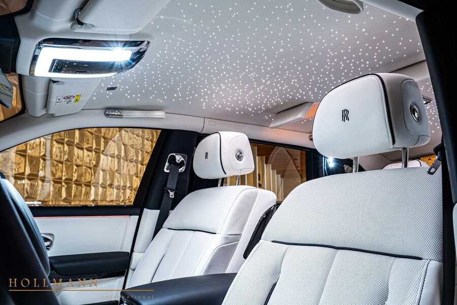 Vehicle view 13