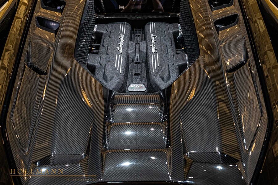 Vehicle view 19
