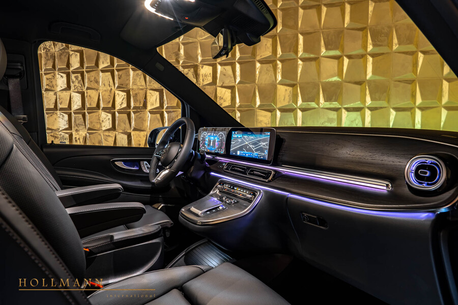 Vehicle view 11