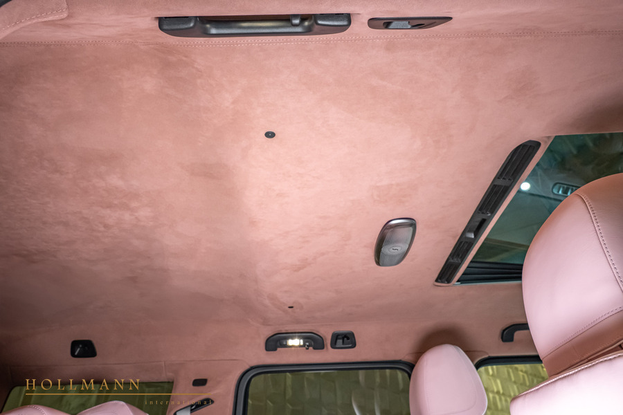 Vehicle view 21