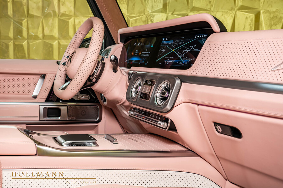 Vehicle view 31