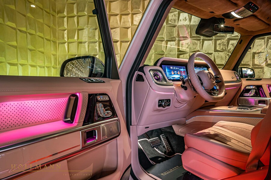 Vehicle view 33