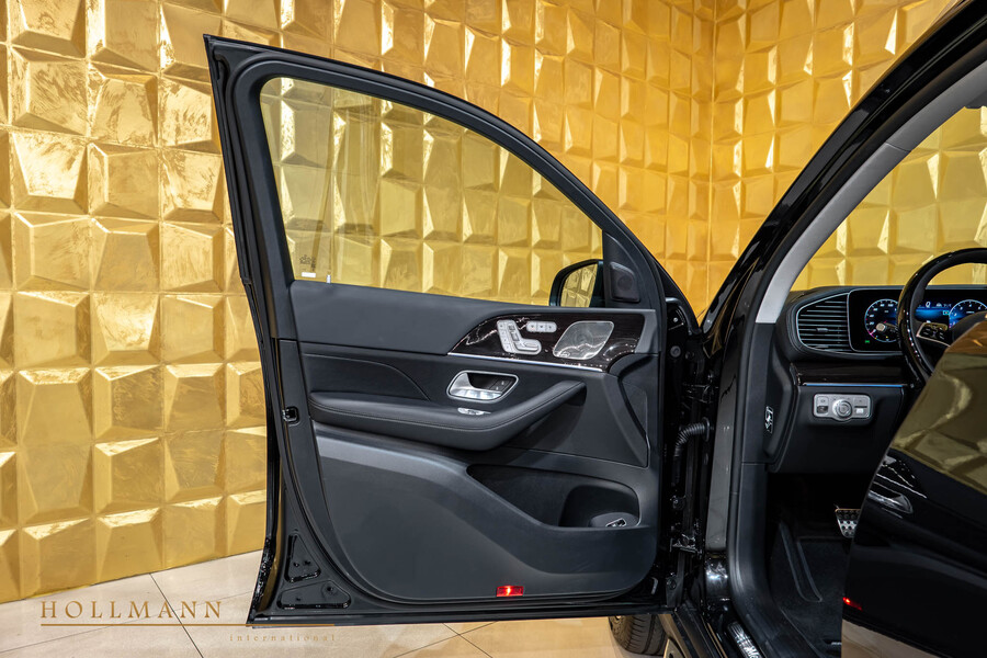 Vehicle view 11