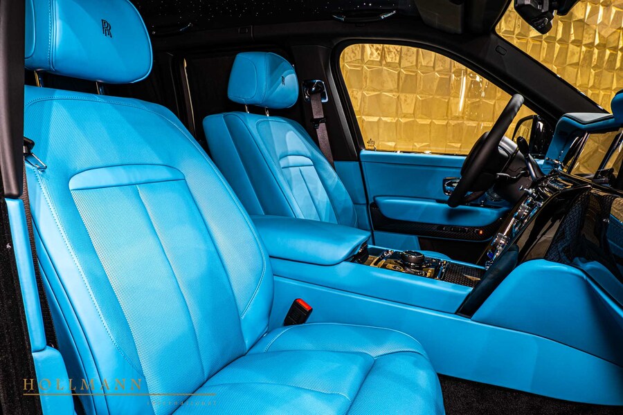 Vehicle view 13