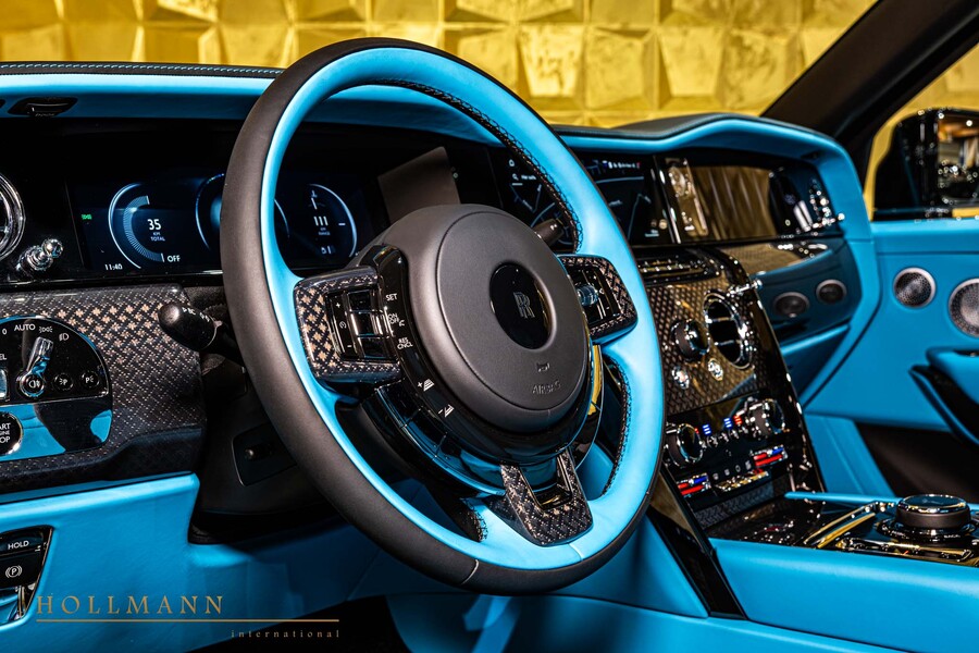 Vehicle view 15