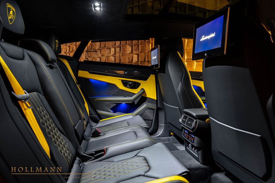 Vehicle view 11