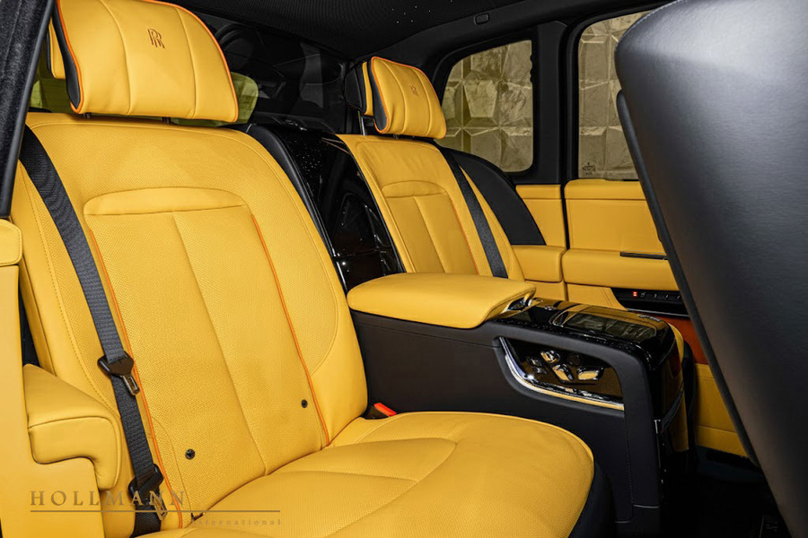 Vehicle view 11