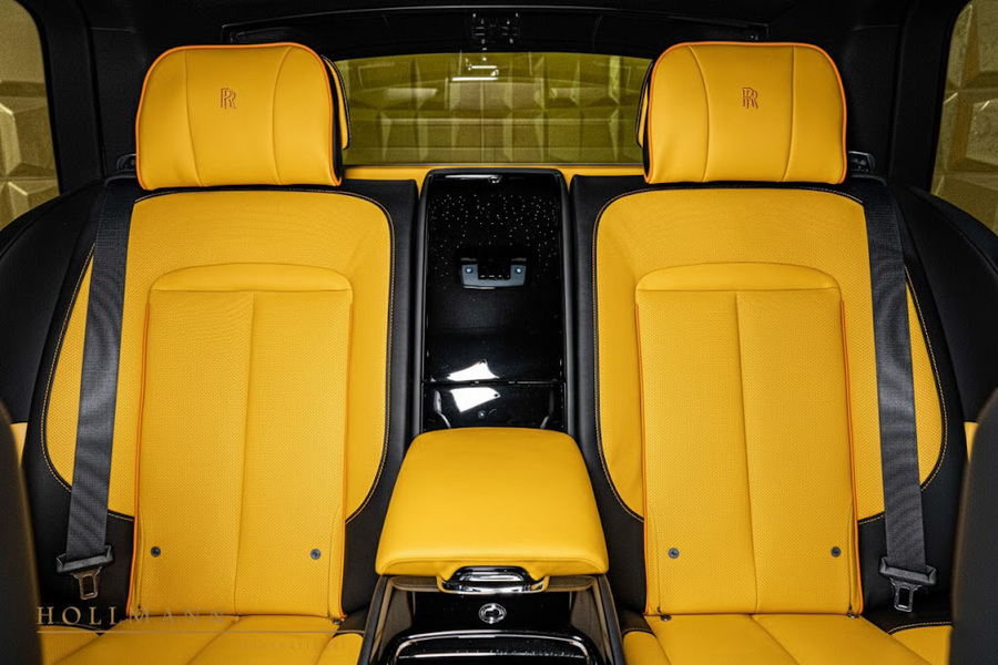 Vehicle view 13