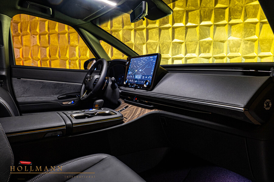 Vehicle view 13