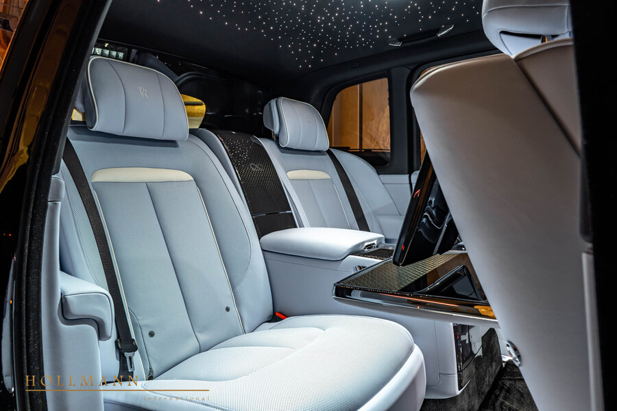 Vehicle view 12