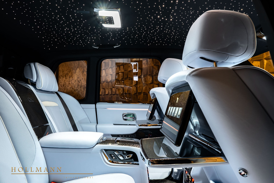 Vehicle view 13