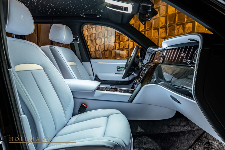 Vehicle view 15