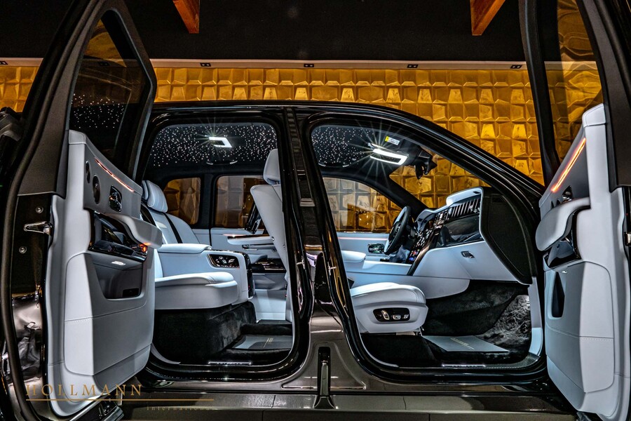Vehicle view 17