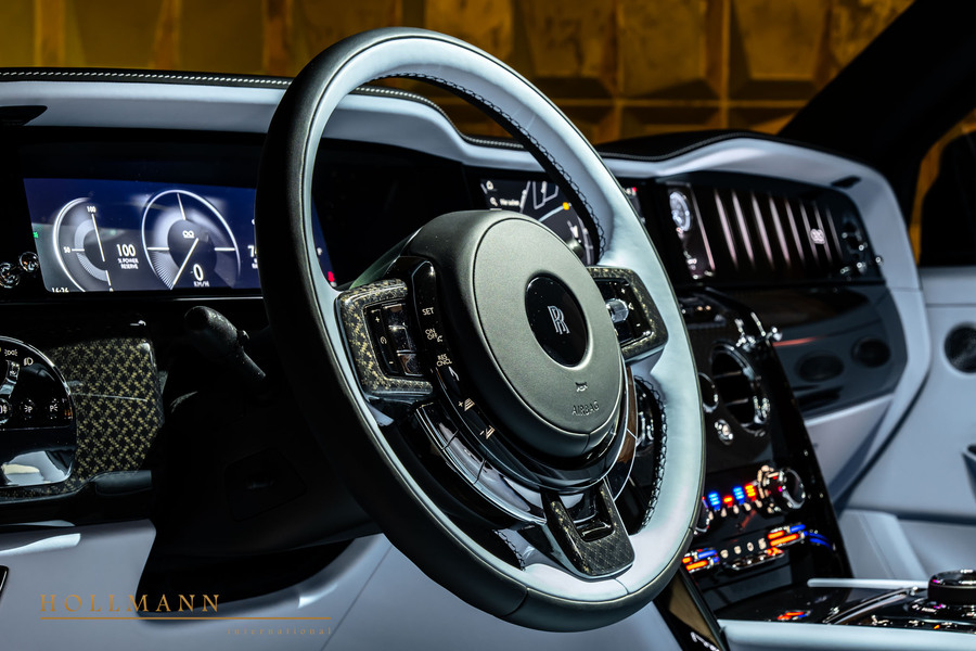 Vehicle view 9