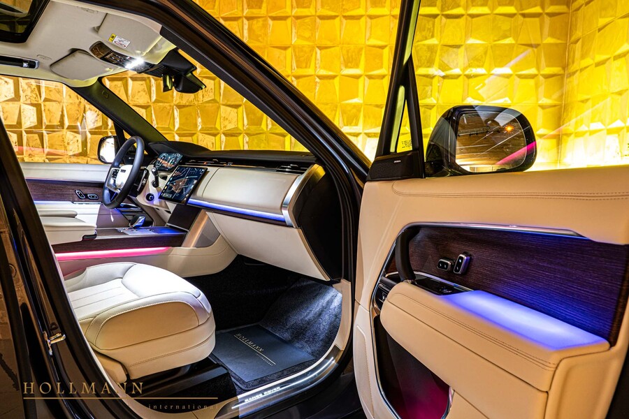 Vehicle view 17