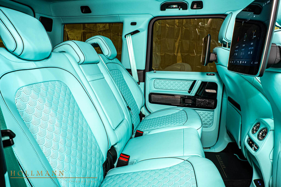 Vehicle view 21