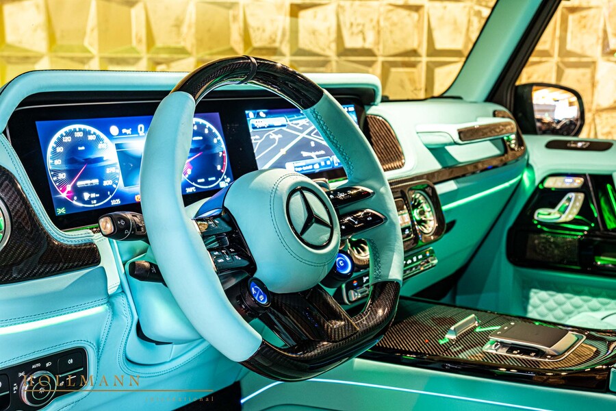 Vehicle view 31