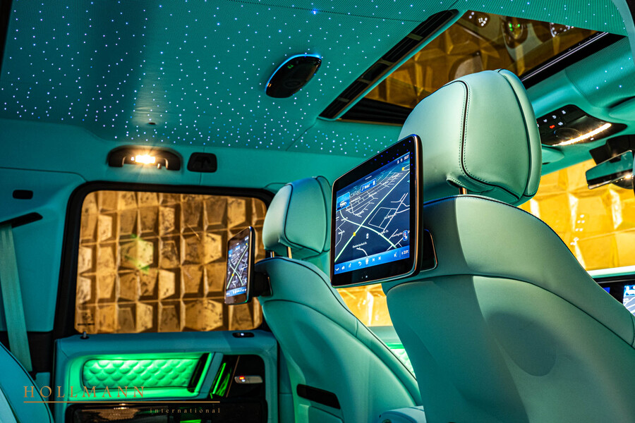 Vehicle view 33