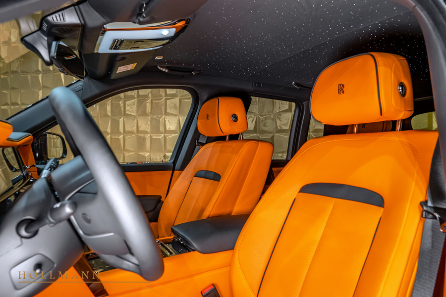 Vehicle view 15