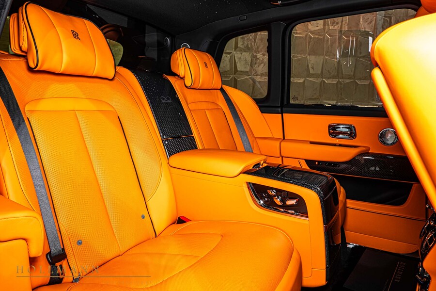 Vehicle view 31