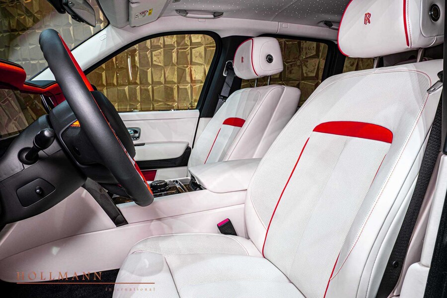 Vehicle view 11