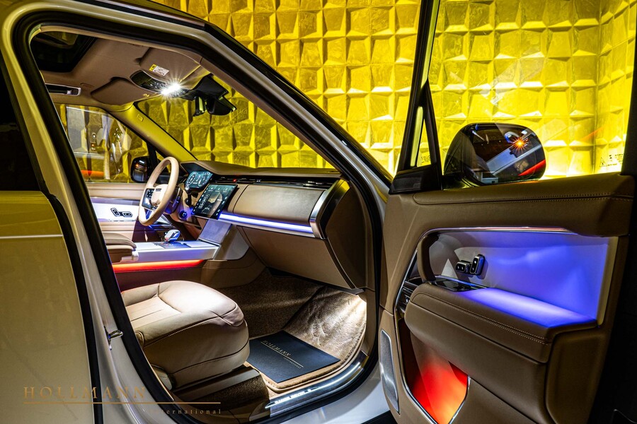 Vehicle view 11