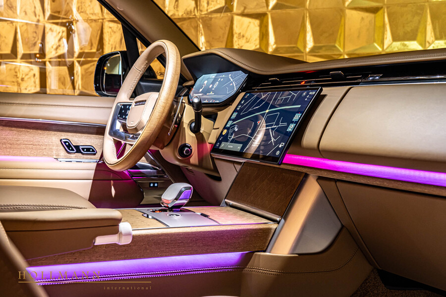 Vehicle view 11