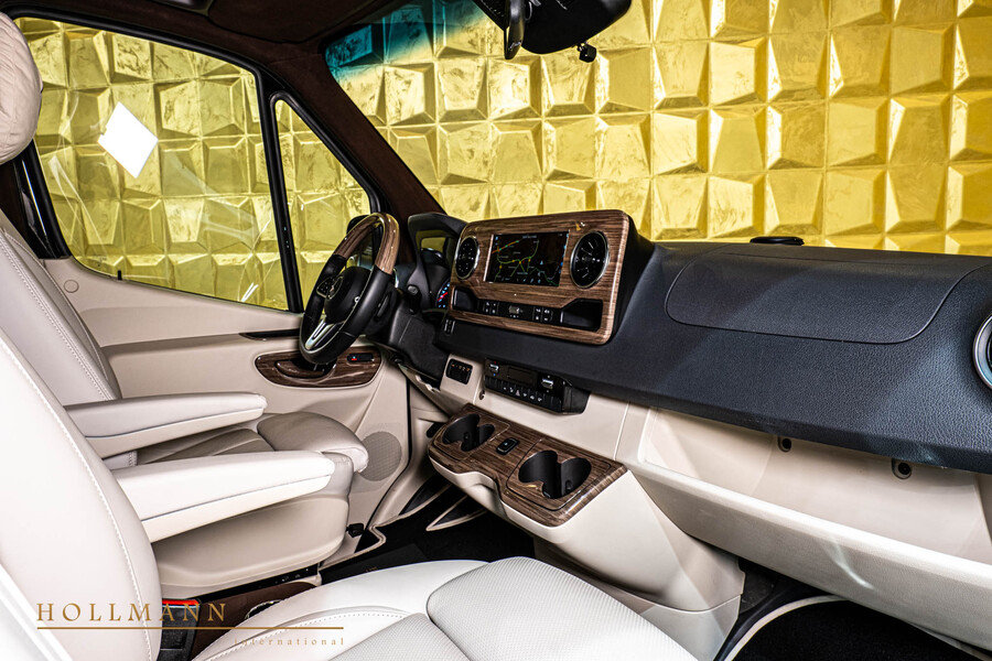 Vehicle view 11