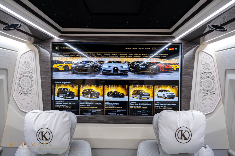 Vehicle view 13