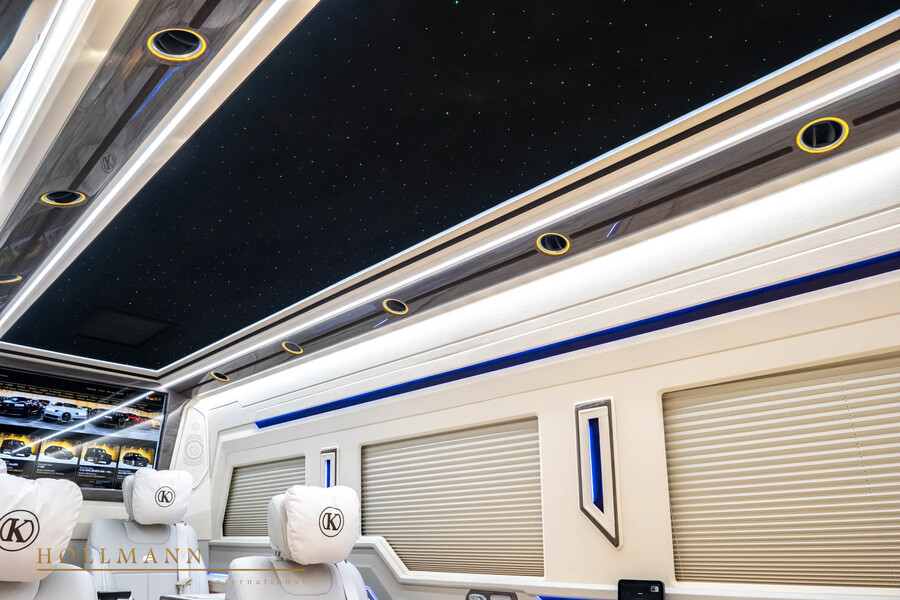 Vehicle view 31