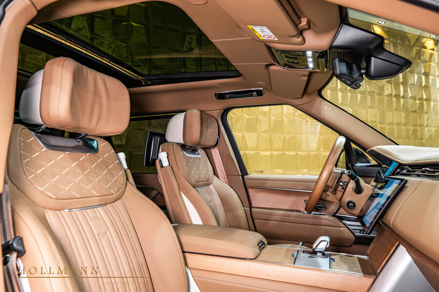 Vehicle view 33