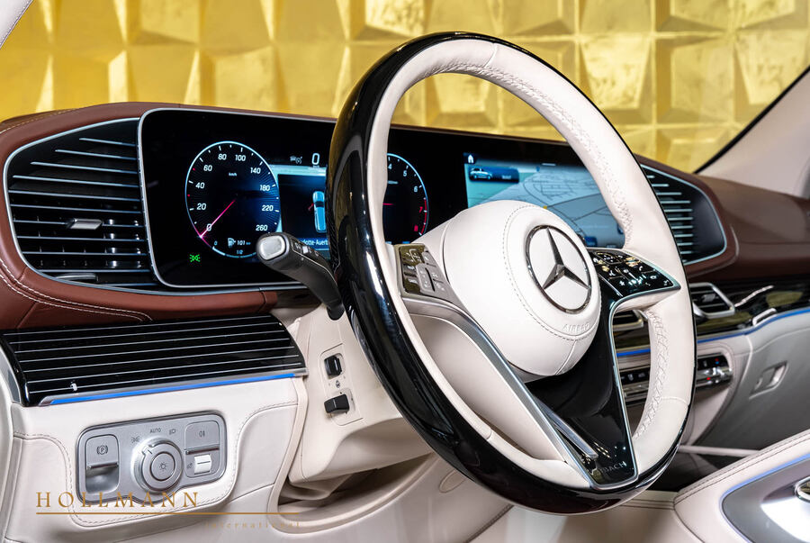 Vehicle view 21