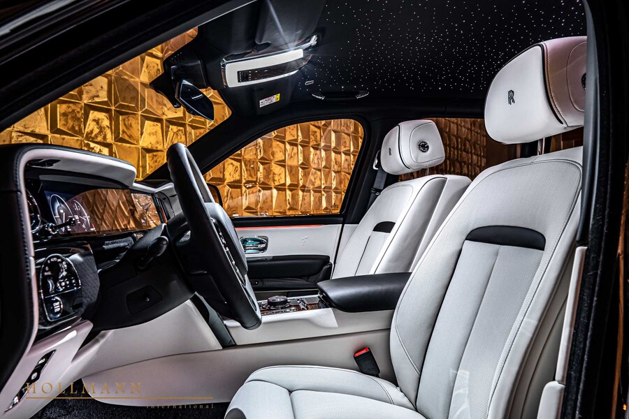 Vehicle view 10