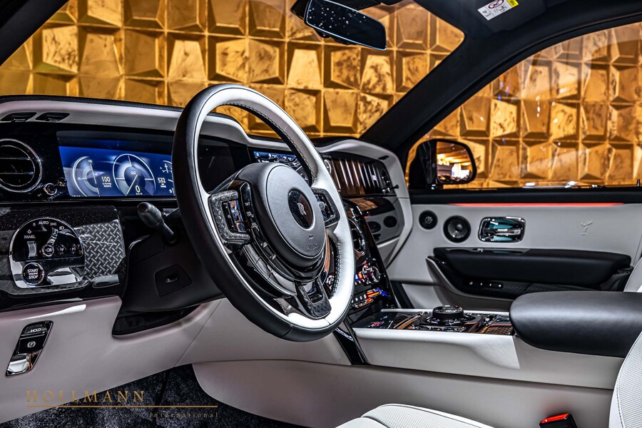 Vehicle view 9
