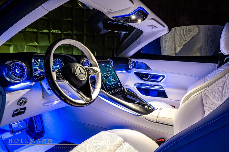 Vehicle view 13