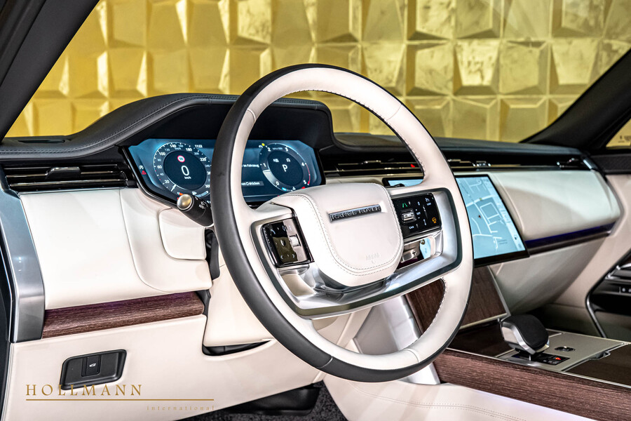 Vehicle view 10