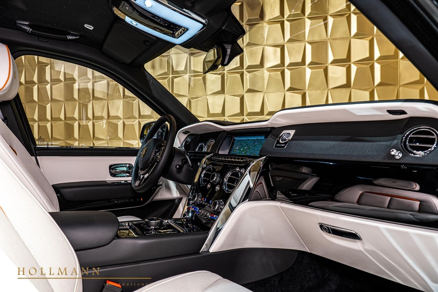 Vehicle view 16