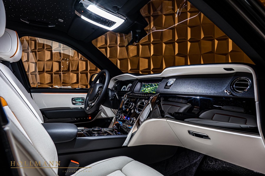 Vehicle view 18