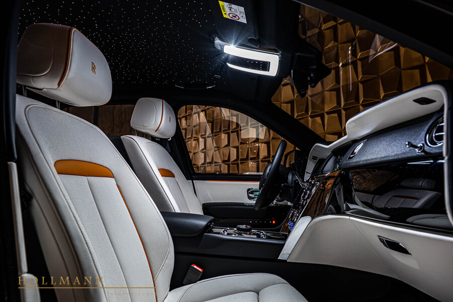 Vehicle view 19