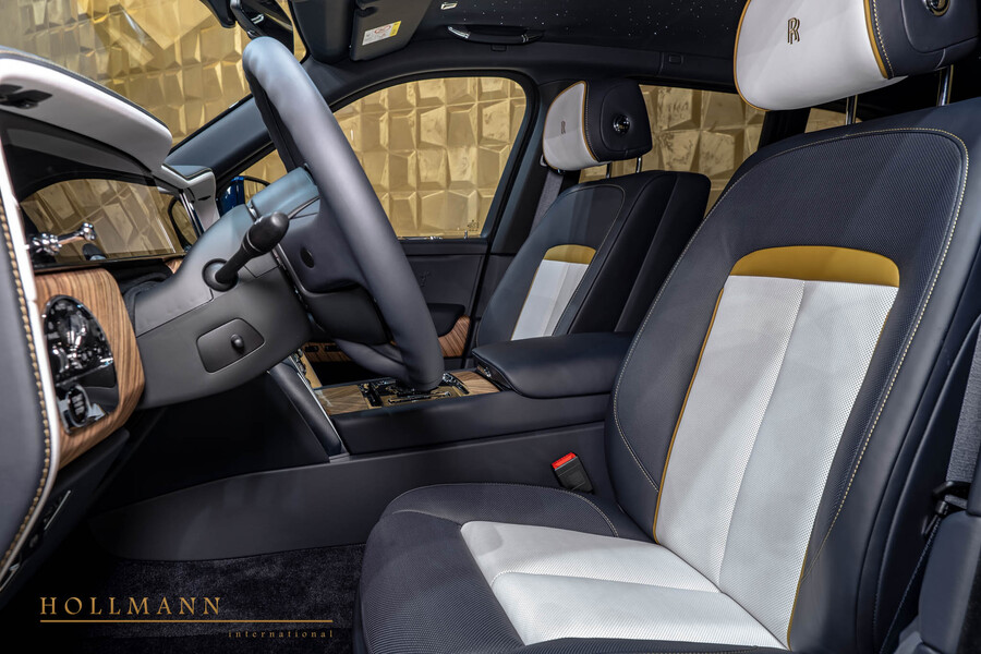 Vehicle view 19