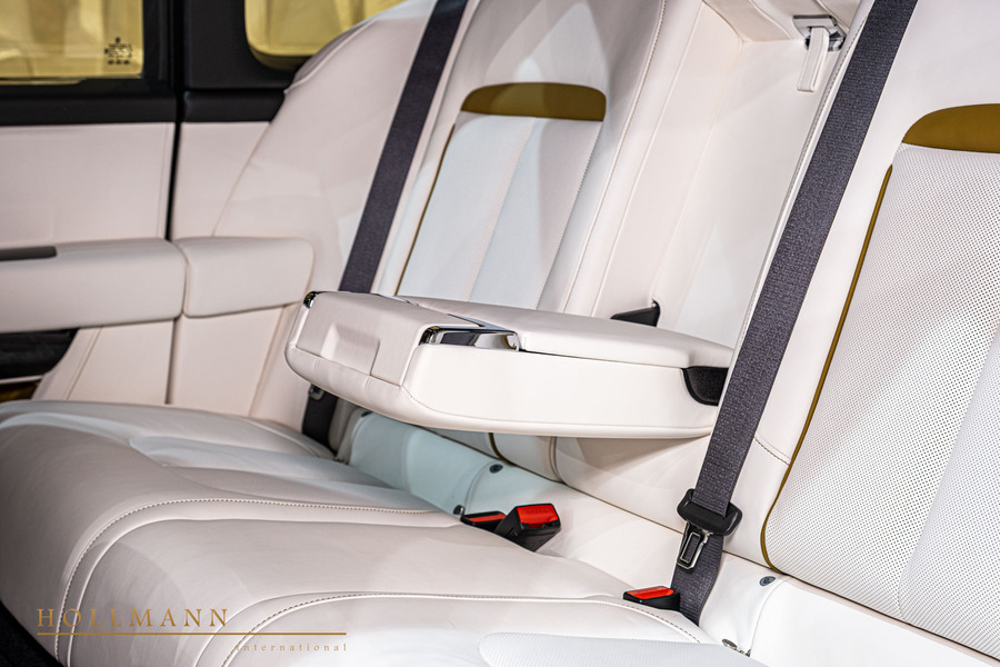 Vehicle view 13