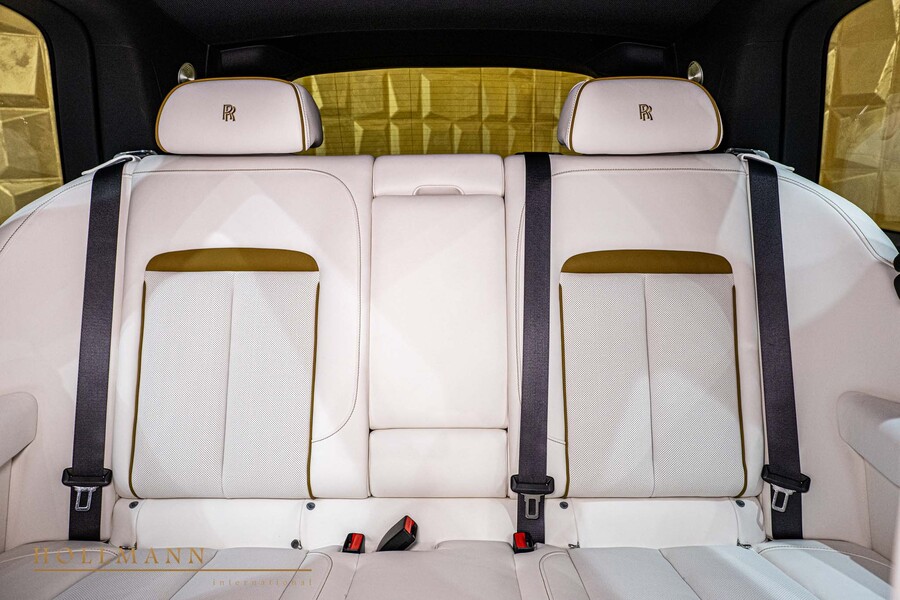 Vehicle view 15