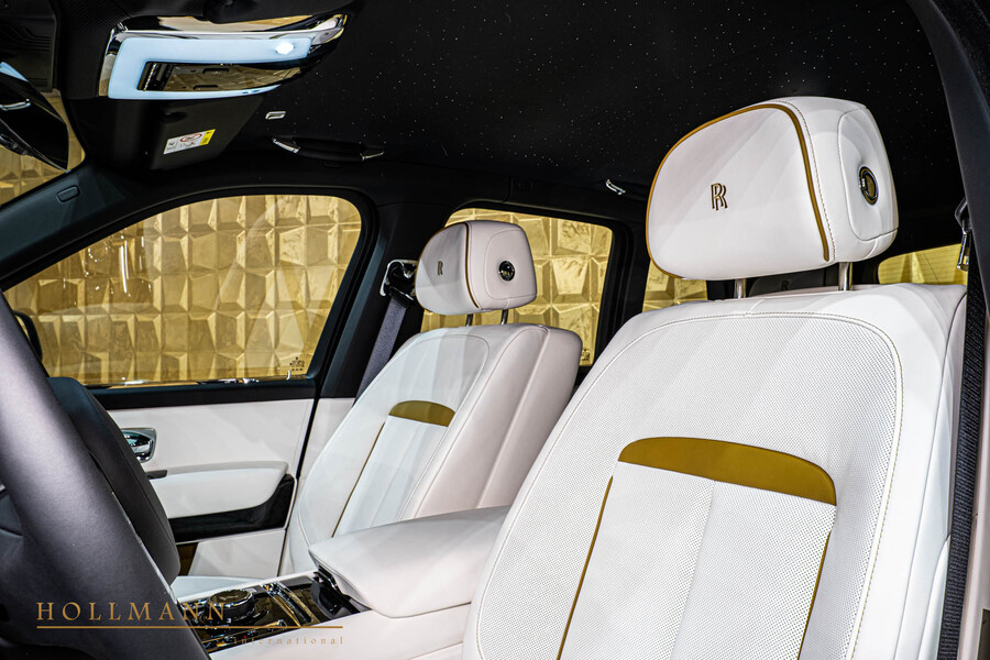 Vehicle view 8