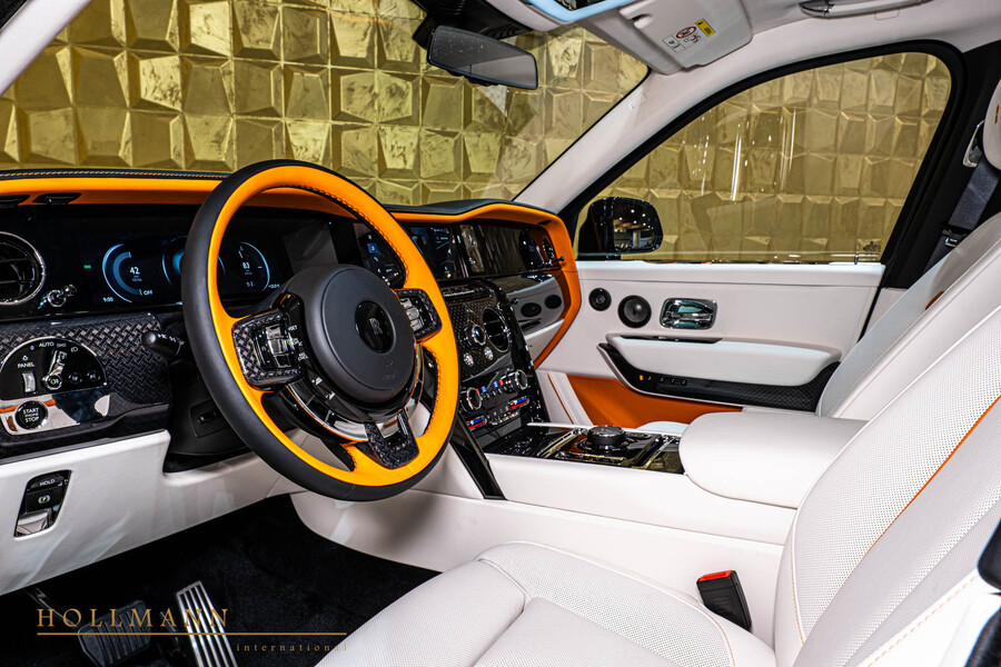 Vehicle view 10
