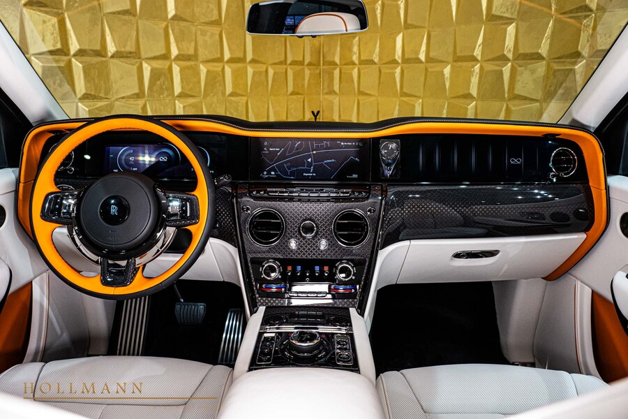 Vehicle view 11